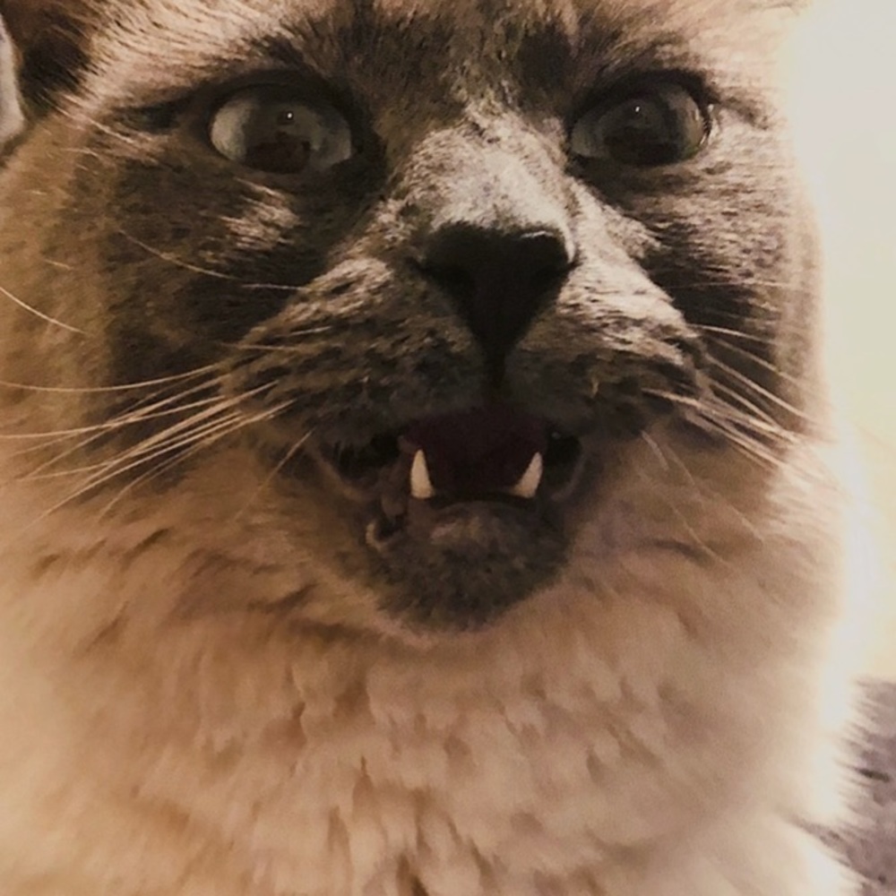 Clothes bundle for mishalla